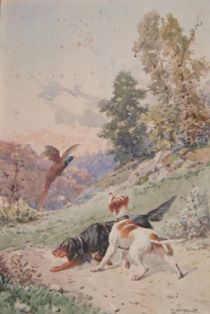 Pheasant hunt - L. Desponts
