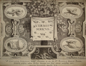 Vermis Sericus (Titlepage) - Stradanus - Philipp Galle