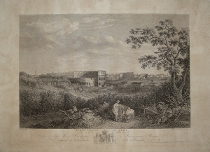 View of Colosseum - F. Morel - J.P. Hackert