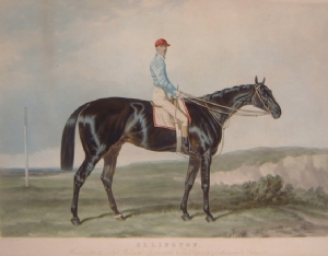 John Harris - Ellington (Cavallo vincitore)